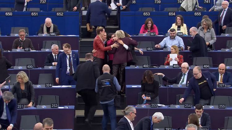 evropski parlament nika kovac.png