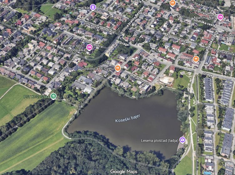 google, nepremicnine