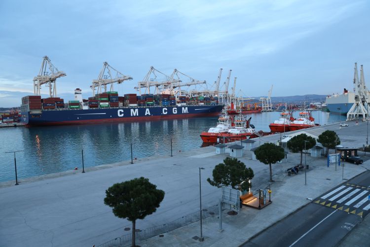 luka koper, terminal