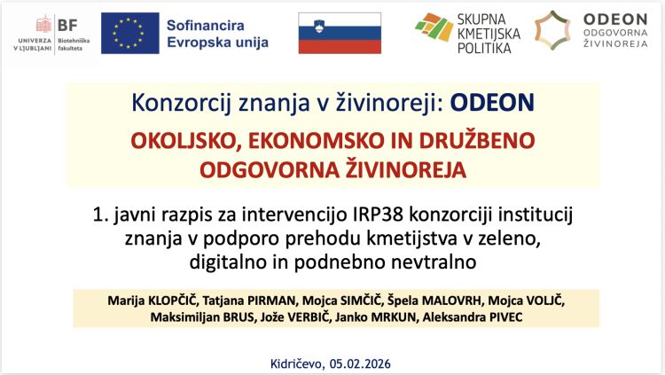 aleksandra-pivec