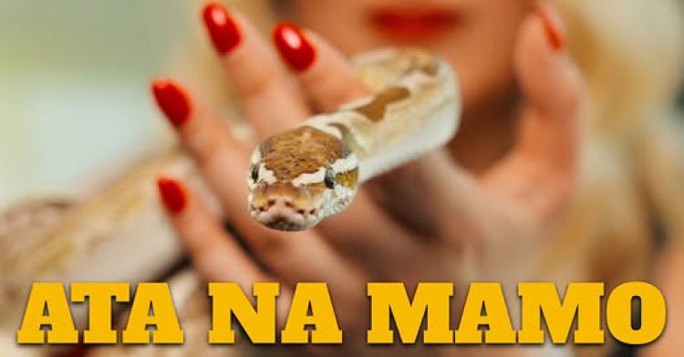 Ata na mamo - nova polka Vražjih muzikantov