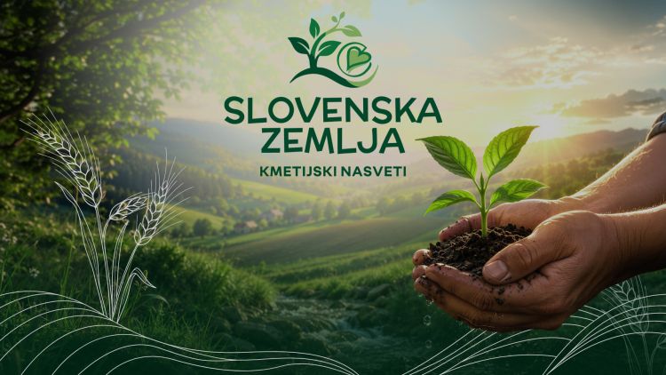 Slovenska zemlja; kmetijski nasveti na Veseljaku.