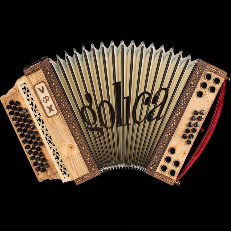 Golica harmonika - VOX.
