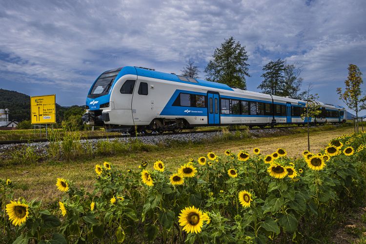 ZEN26-2512_Celje_mk_X.jpg