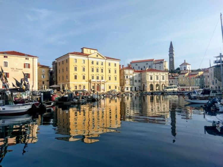 palaca-trevisini, obcina-piran