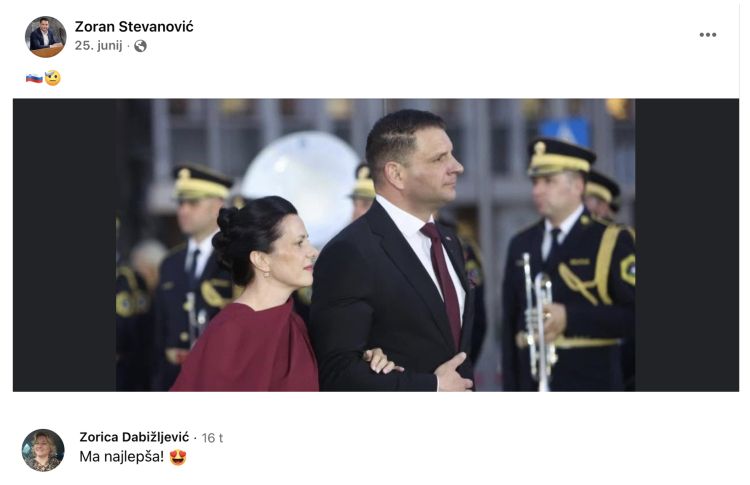 zoran-stevanovic, zorica-dabizljevic