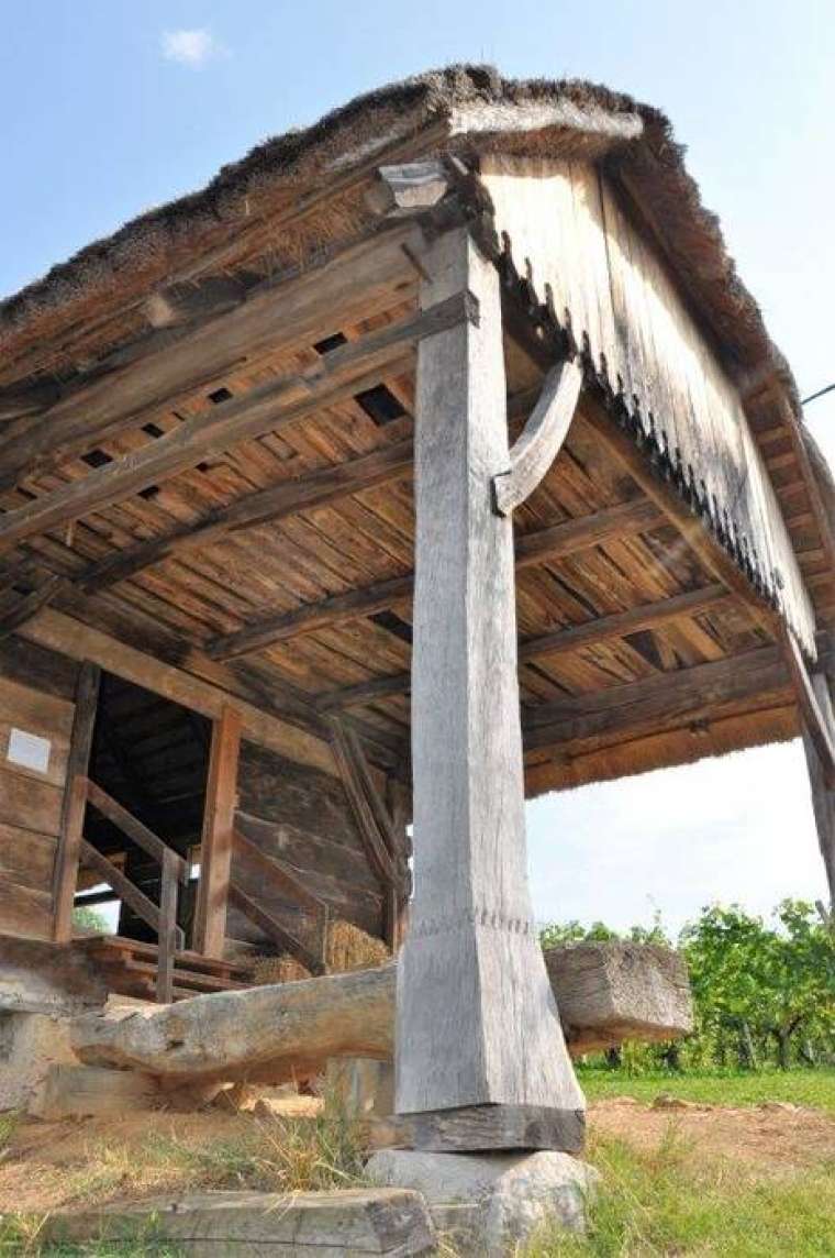 Brez opisa