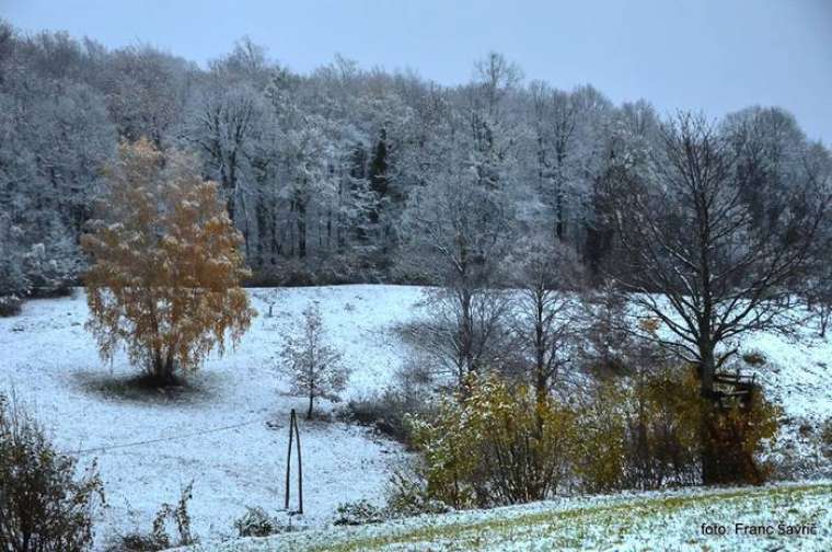 Foto: Franc Šavrič