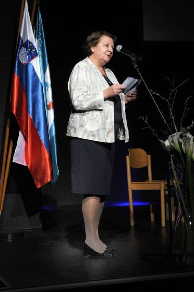 Brez opisa