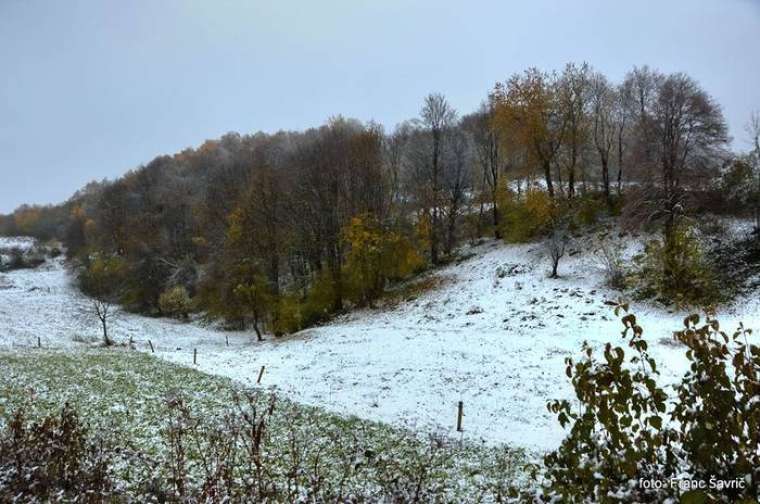 Foto: Franc Šavrič