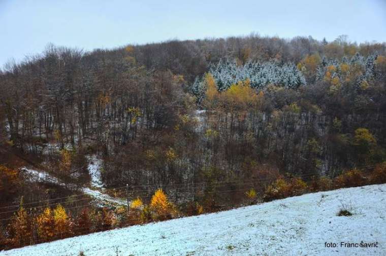Foto: Franc Šavrič
