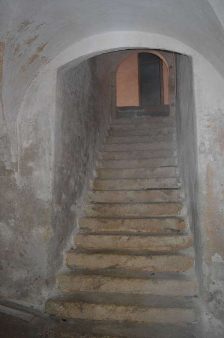 Brez opisa