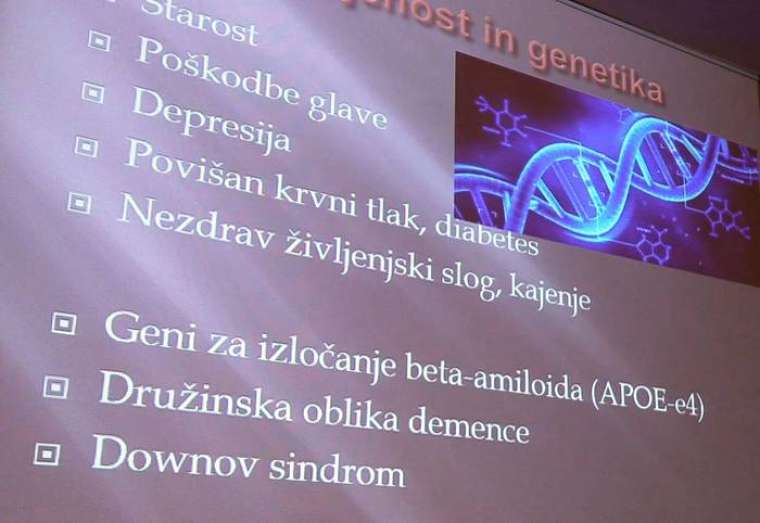 Brez opisa