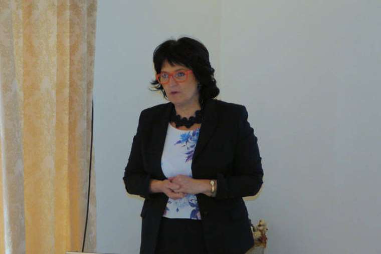 Brez opisa