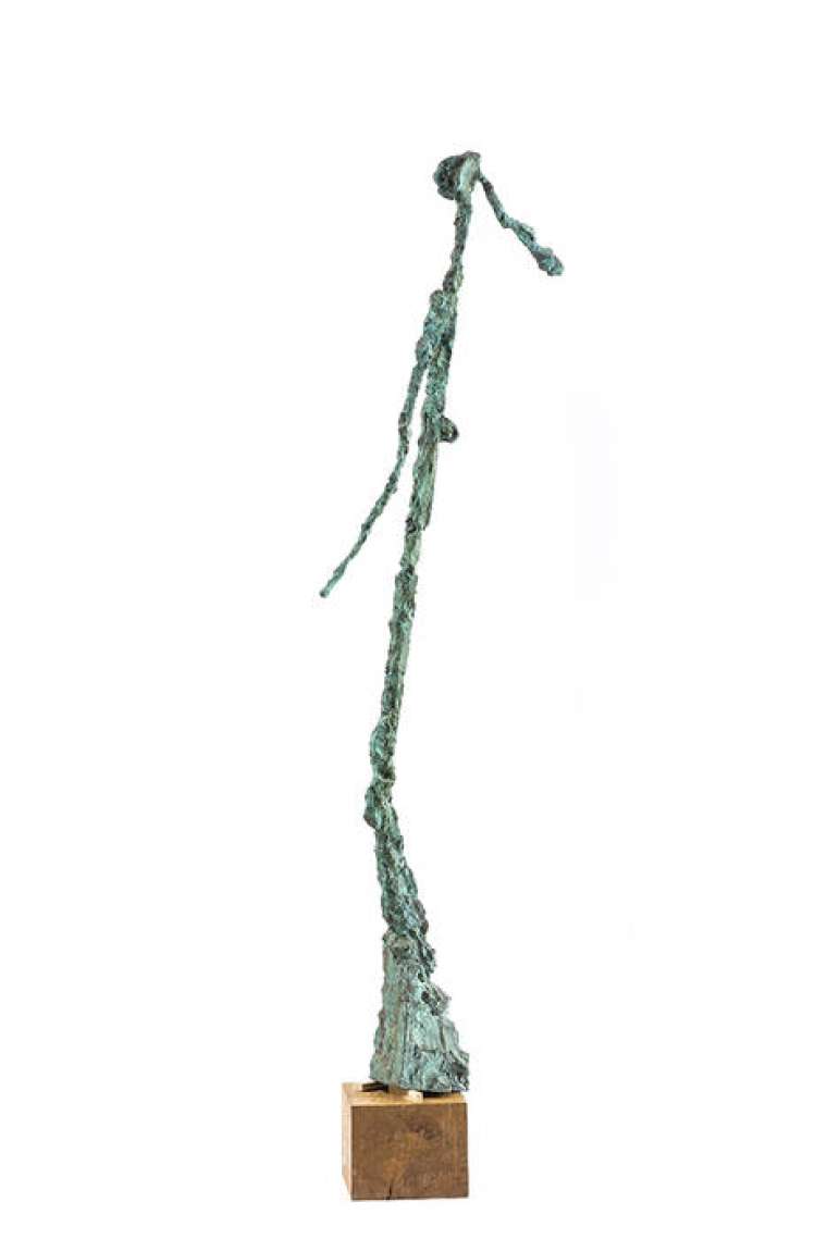 Brez opisa