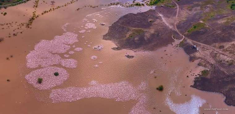 Lake Bogoria, Kenya