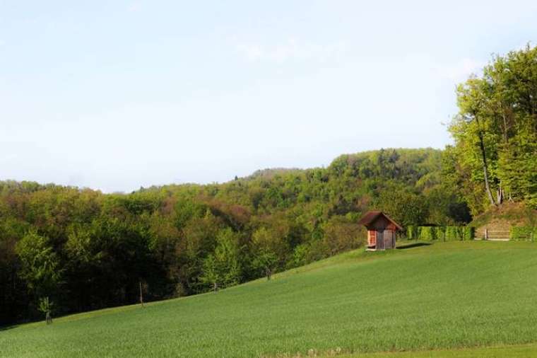 Brez opisa