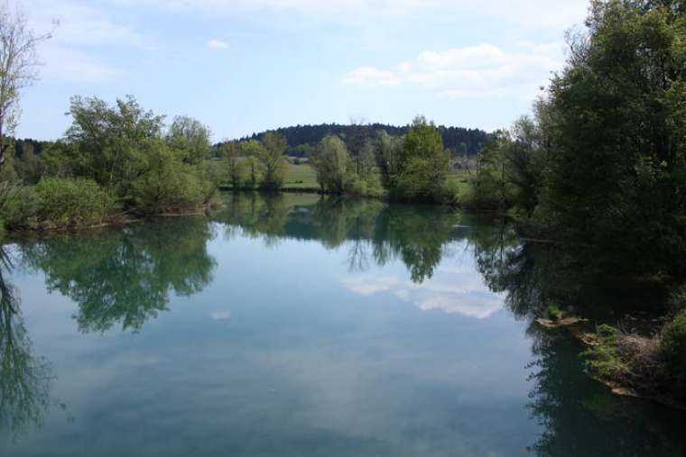 Brez opisa