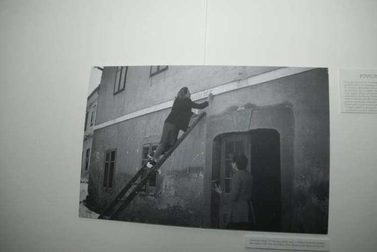 Brez opisa
