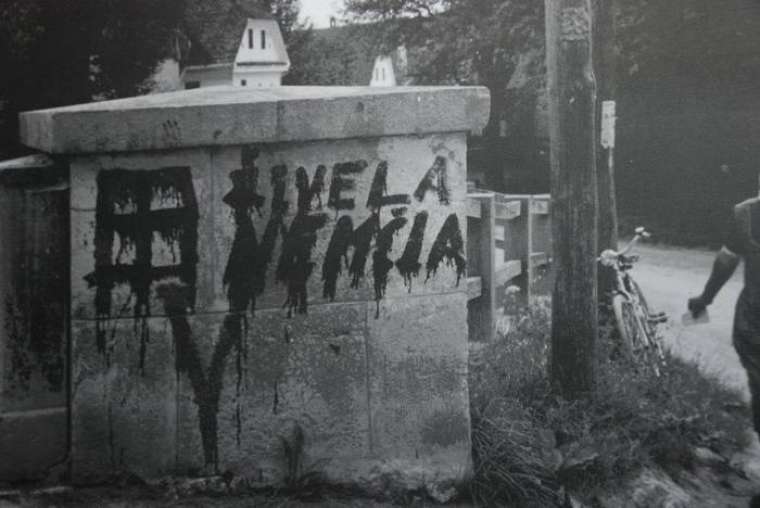 Brez opisa
