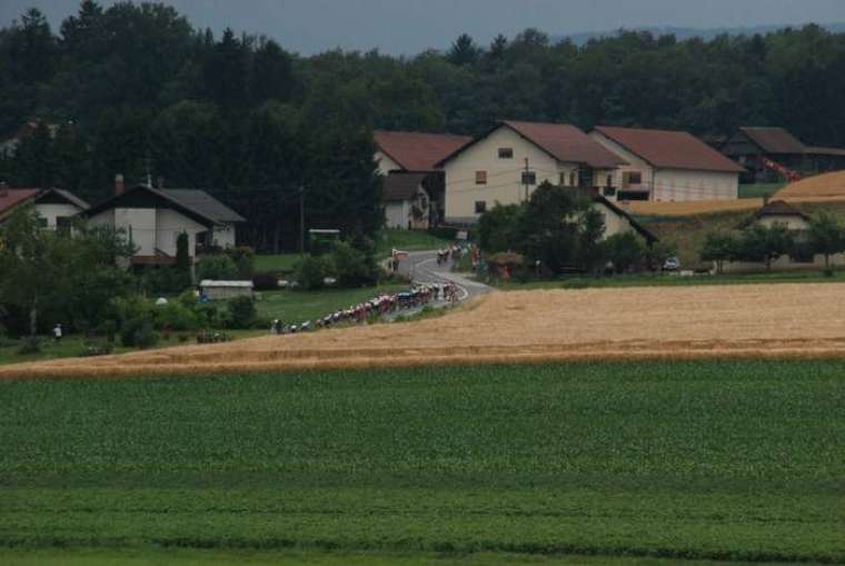 Brez opisa