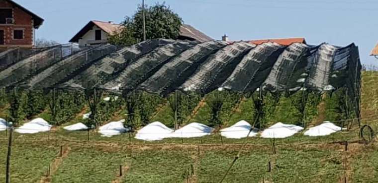 Brez opisa