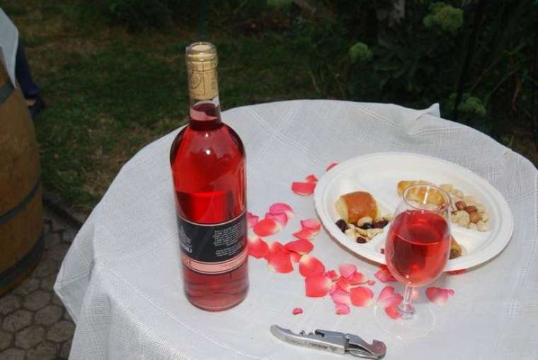 Foto: Božo Vidmar
