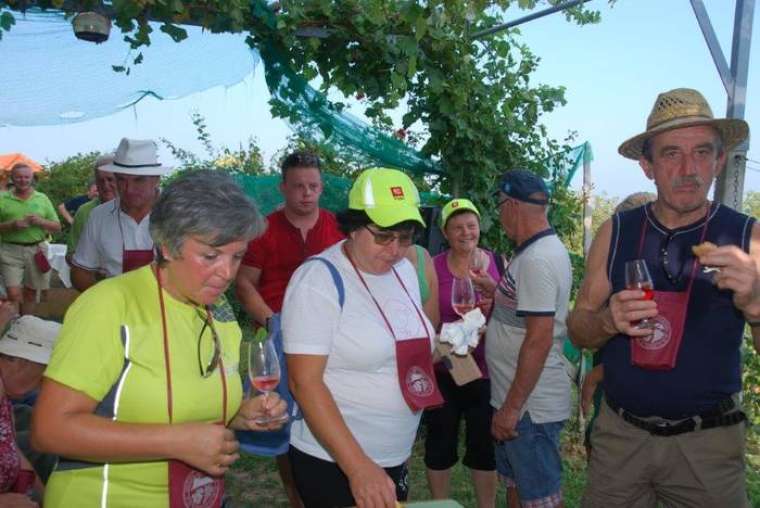 Foto: Božo Vidmar