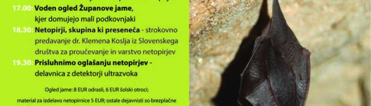 Brez opisa