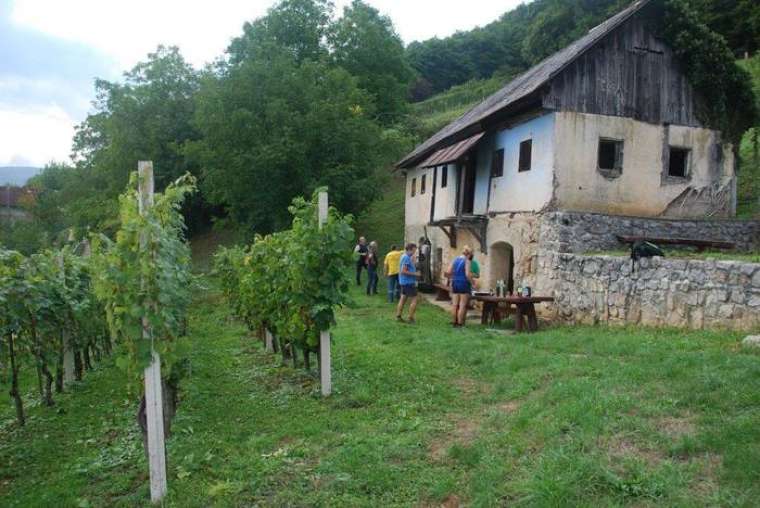 foto: Božo Vidmar