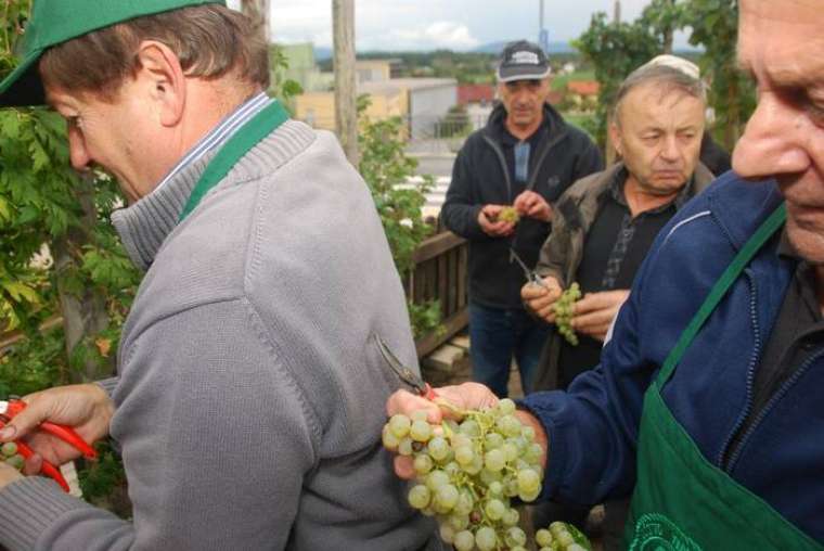 FOTO: Božo Vidmar