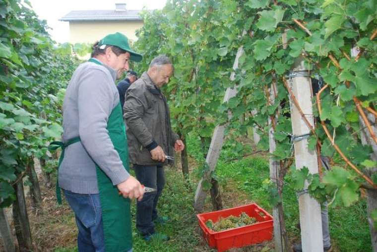 FOTO: Božo Vidmar