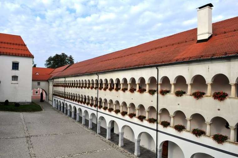 Brez opisa