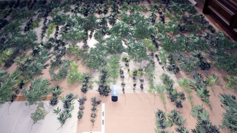Fotografije s prizorišča hišne preiskave na območju Sevnice (foto: PU NM)