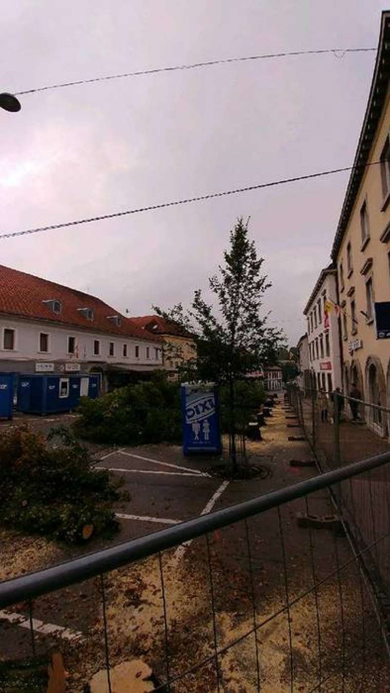 Brez opisa