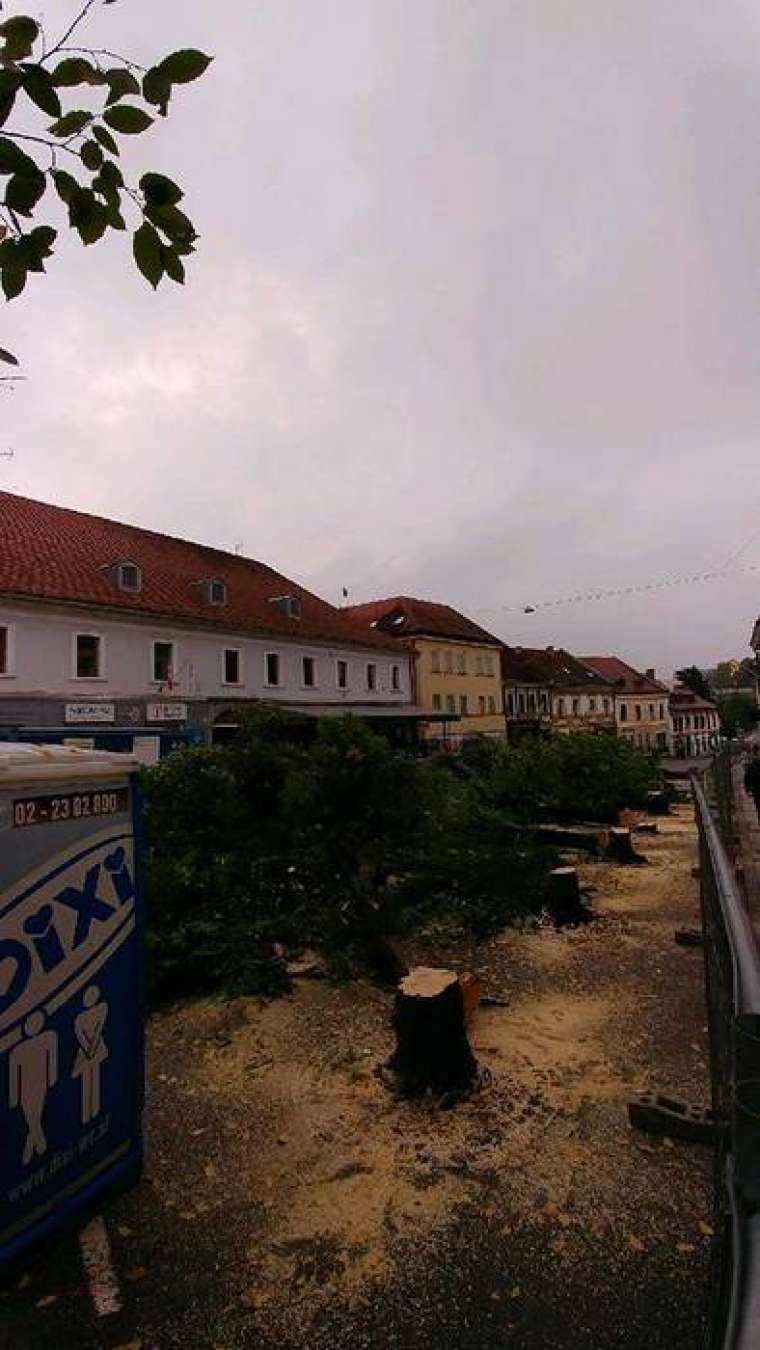 Brez opisa