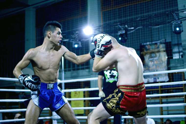 ROOSTER BLADES