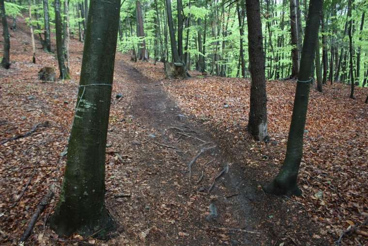 pohorje, bodeča žica, kolesar