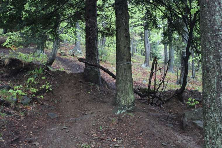 pohorje, bodeča žica, kolesar