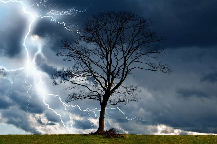 drevo strela nevihta