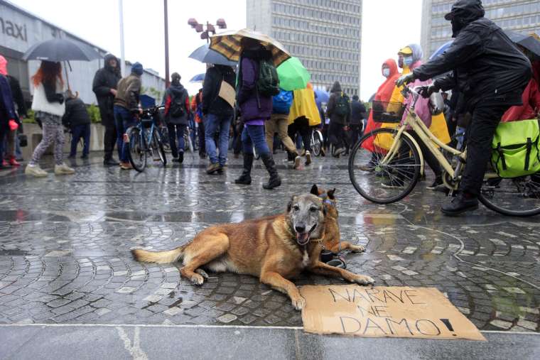 protest okoljevarstveniki bobo1