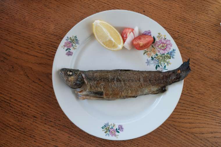 Posavska riba iz ribogojnice Pajk