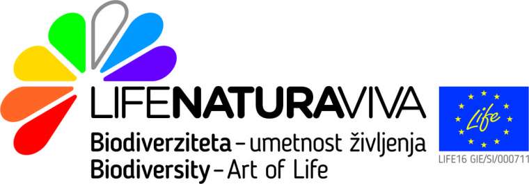 Logo Naturaviva 3