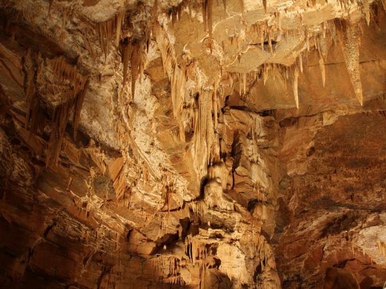 Netopirji najdejo zavetje med številnimi stalaktiti Županove jame