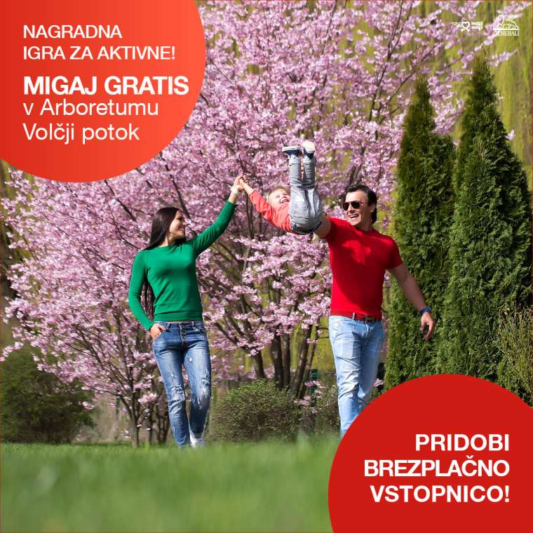 Migaj-Gratis-12