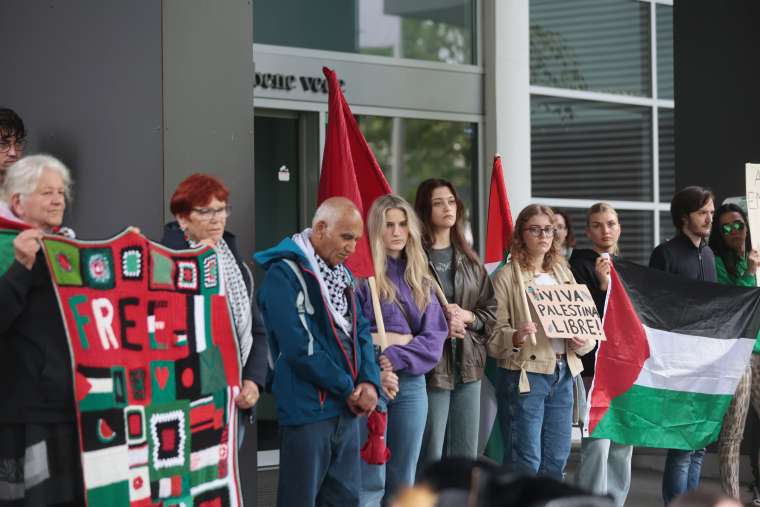 fdv, palestina, podpora, protest