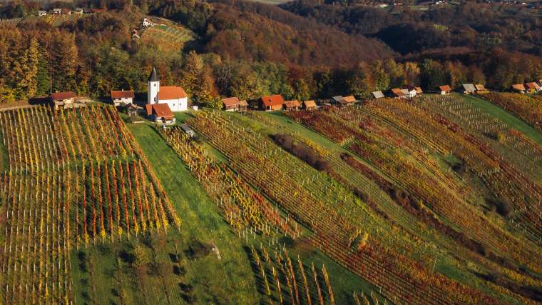 nova-čezmejna-vinska-destinacija-v-projektu-interwine