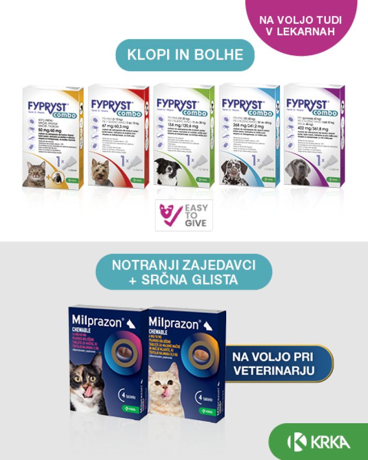 Proplus PR fypryst combo-milprazon chewable cat mobile