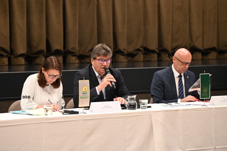 skupna-seja-obcinskih-svetov-posavskih-obcin-o-projektu-jek2