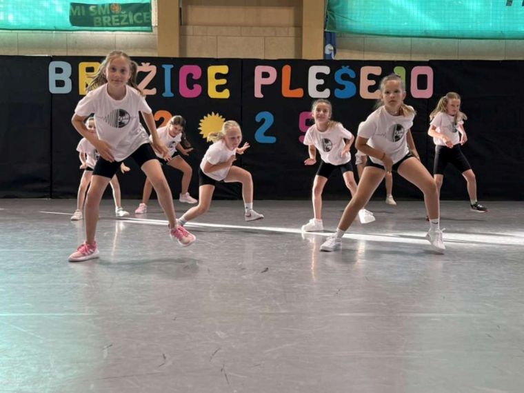 plesni-klub-lukec